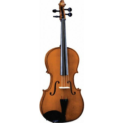 Viola
