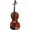 Violina